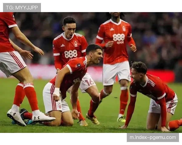 诺丁汉森林西汉姆同积28分,保级生死战进入最后冲刺 诺丁汉森林西汉姆同积28分,保级生死战进入最后冲刺